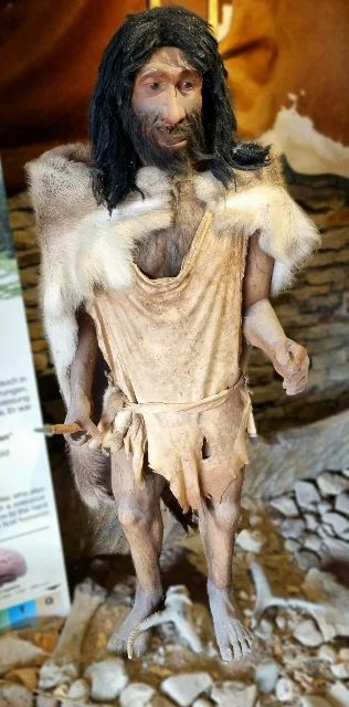 Rekonstruktion Neandertaler