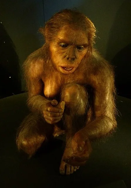 Rekonstruktion Homo habilis