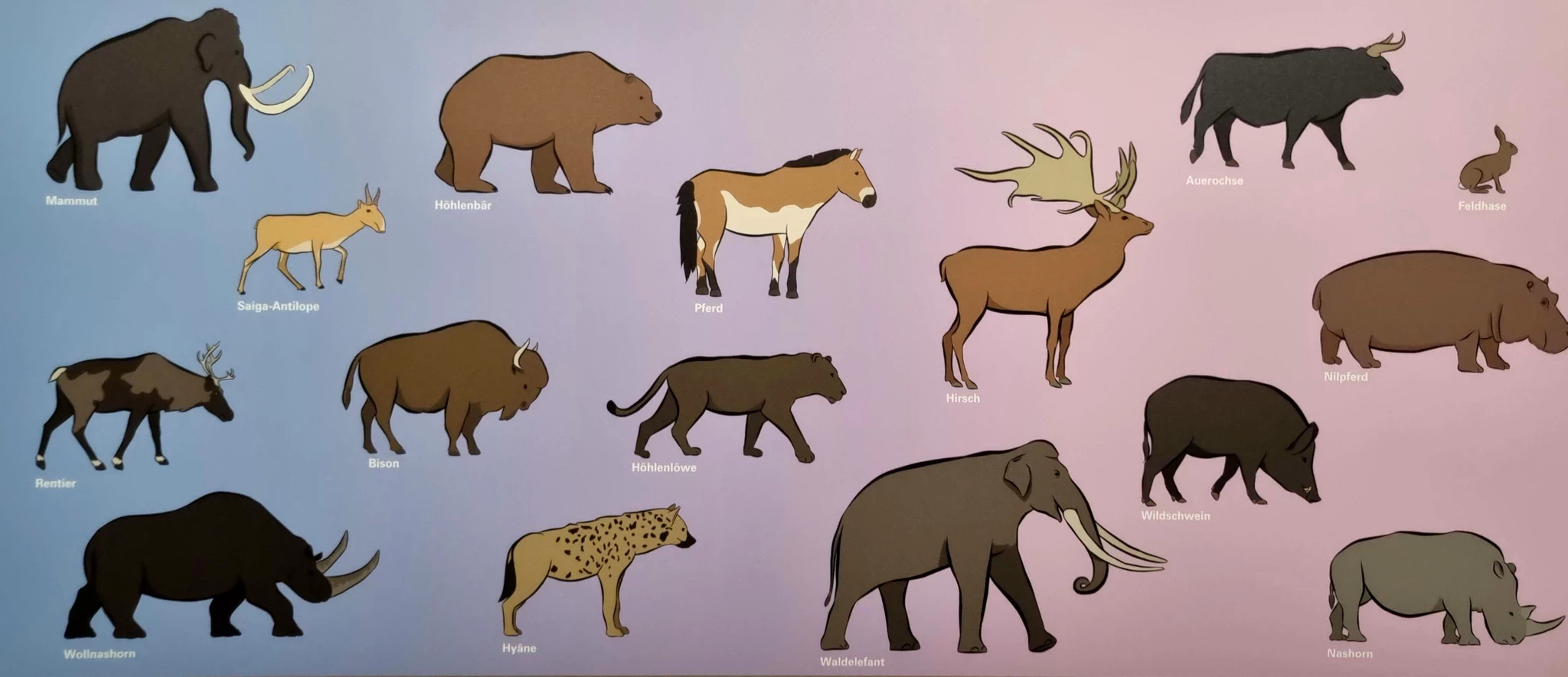 Schautiefel mit Tieren der Altsteinzeit