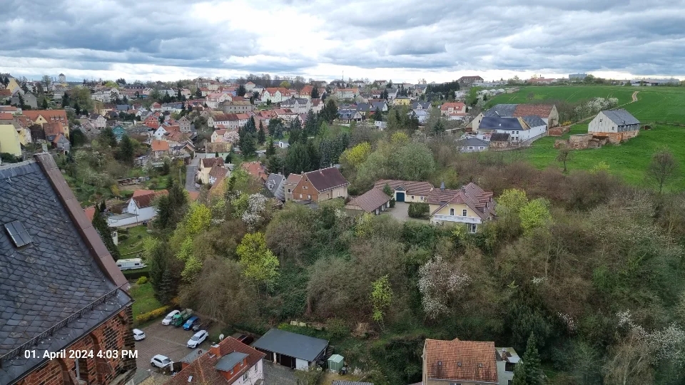 Leisnig - Eine Stadt mit vielen Häusern und Bäumen