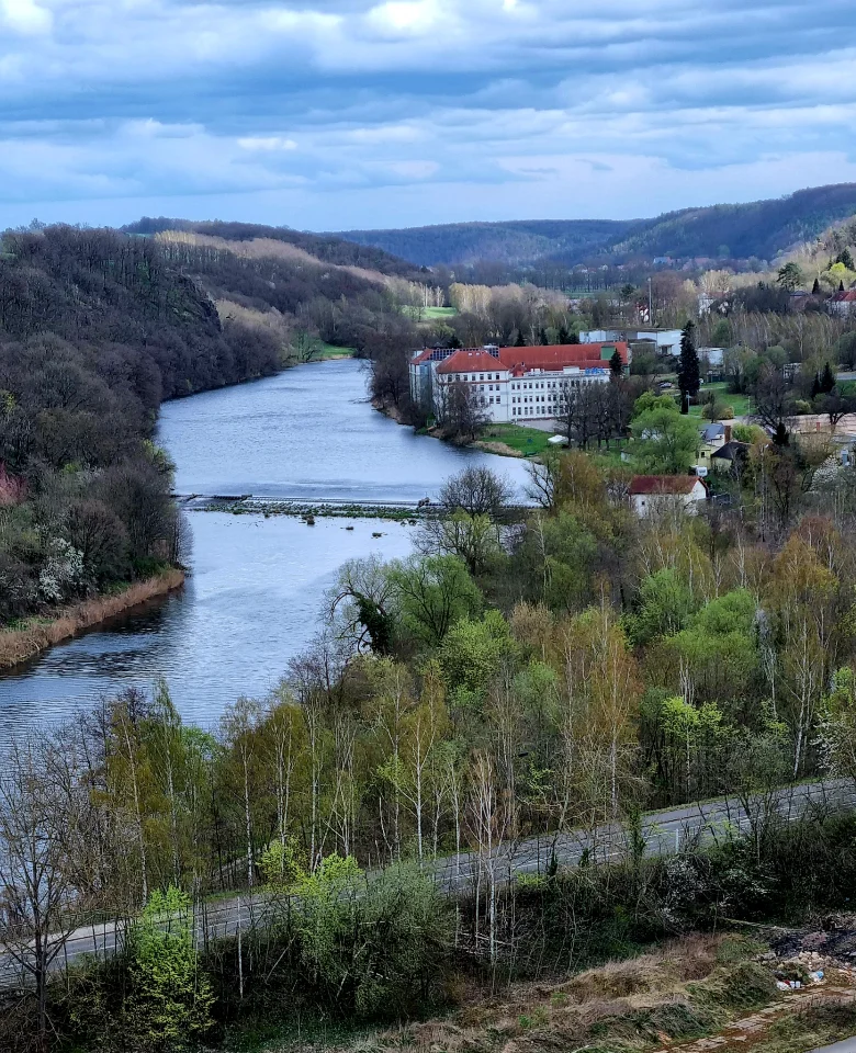 Die Mulde - Landschaftsbild mit Fluss und vielen Bäumen