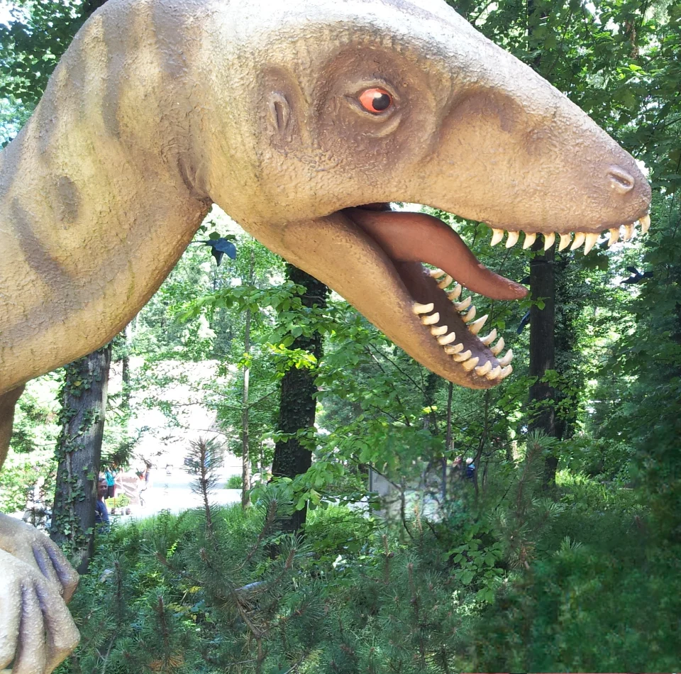 Ein gefährlicher Jäger, der seine Zähne zeigt.