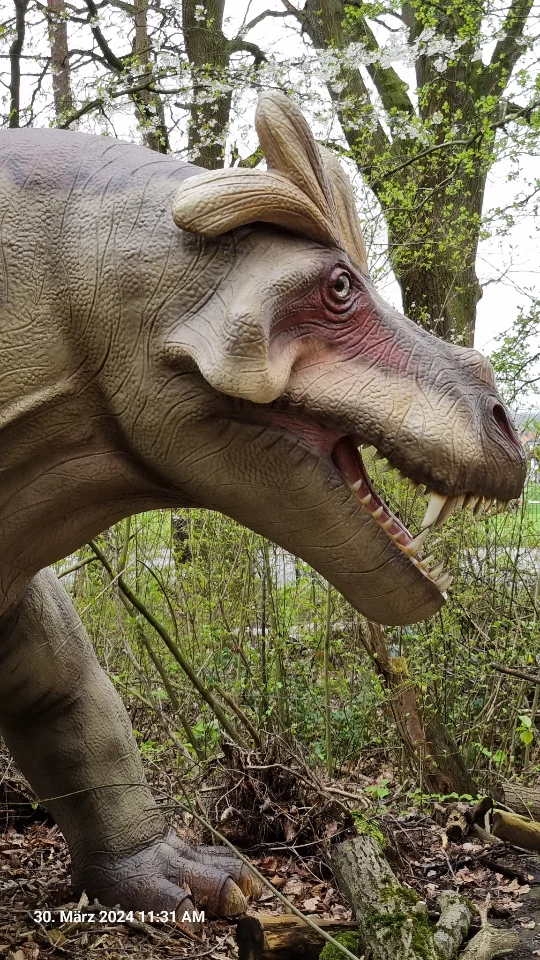 Ein Krokodil aus dem Trias