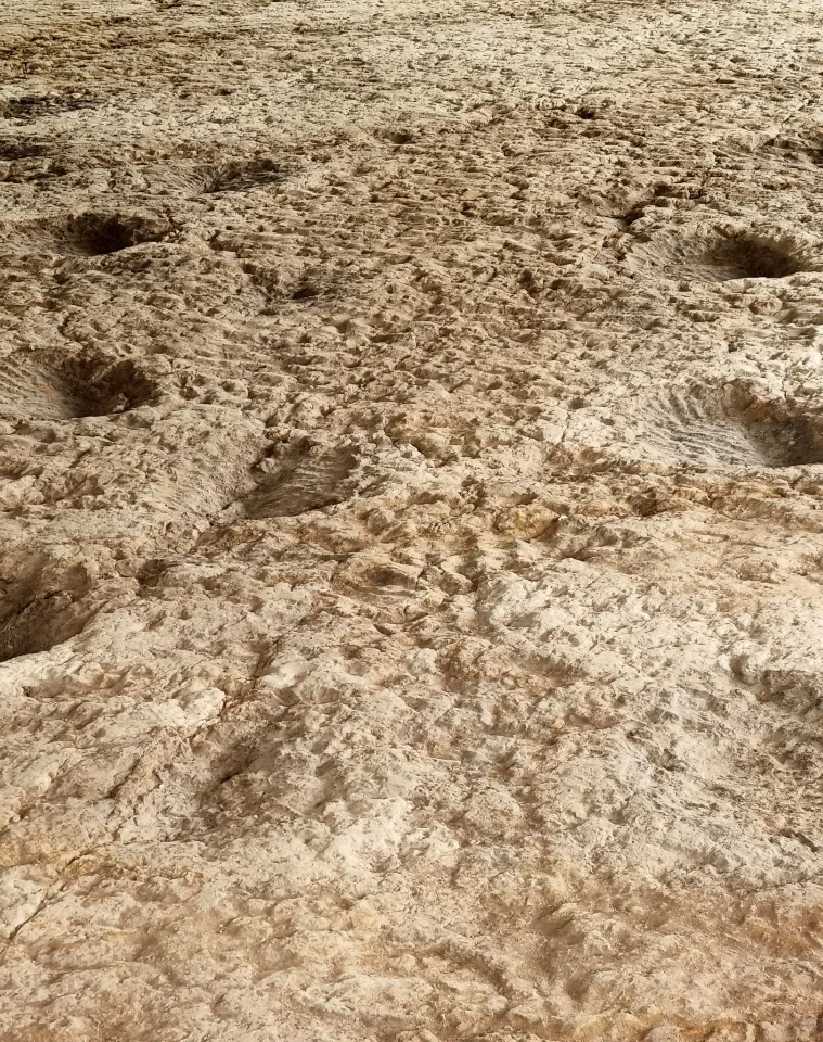 Eine Spur von einem Sauropoden im Sand.