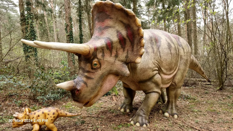 Rekonstruktion eines Triceratops mit drei Hörnern und großem Nackenschild