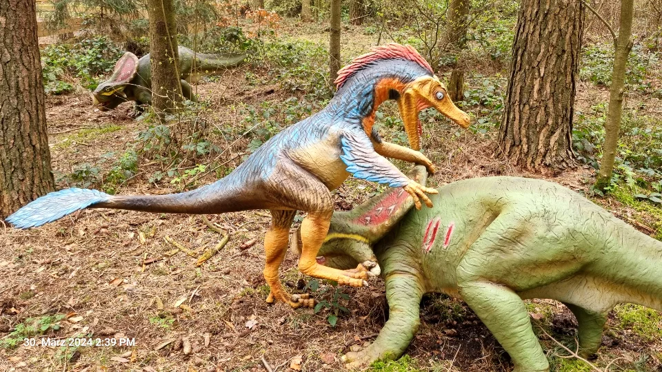 Ein Velociraptor der einen Triceratops anfällt.