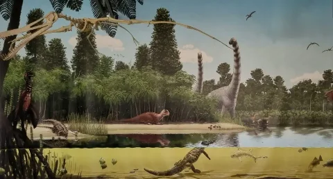 Saurier in einer Lagune