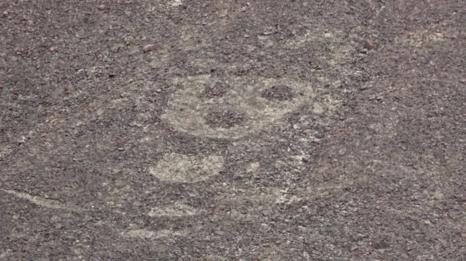 Palpa Geoglyphen.
