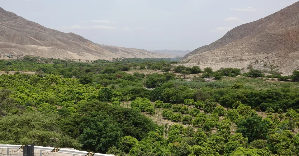 Blick in das Palpa-Tal.